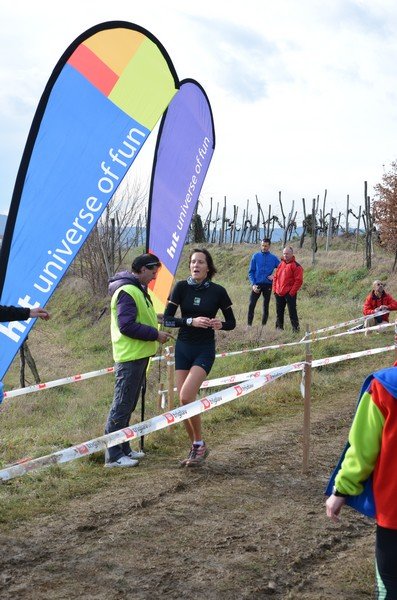 Tek Biljanski gri 269 i 345
